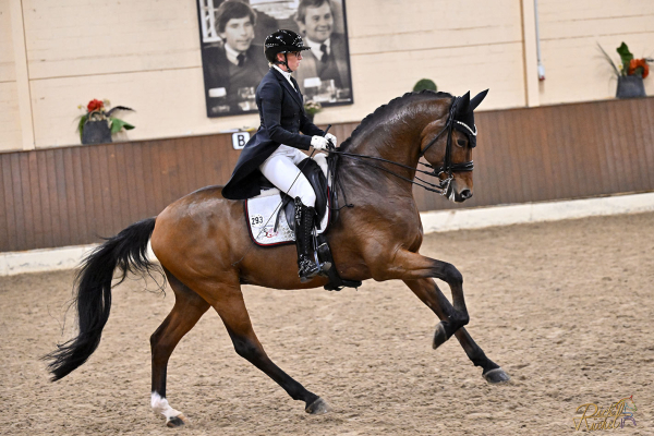 Sabrina beim Turnier